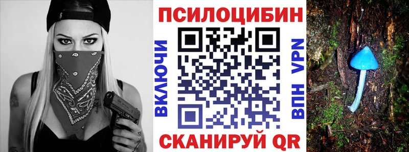 Галлюциногенные грибы MAGIC MUSHROOMS  даркнет как зайти  Электросталь  МЕГА маркетплейс 